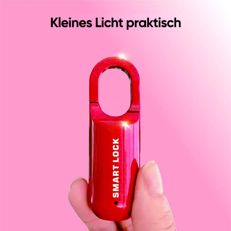 Mini-Fingerabdruck-Vorhängeschloss