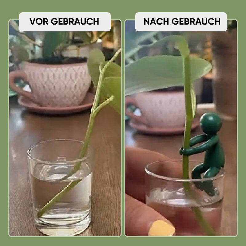 Pflanzenvermehrungs-Freund