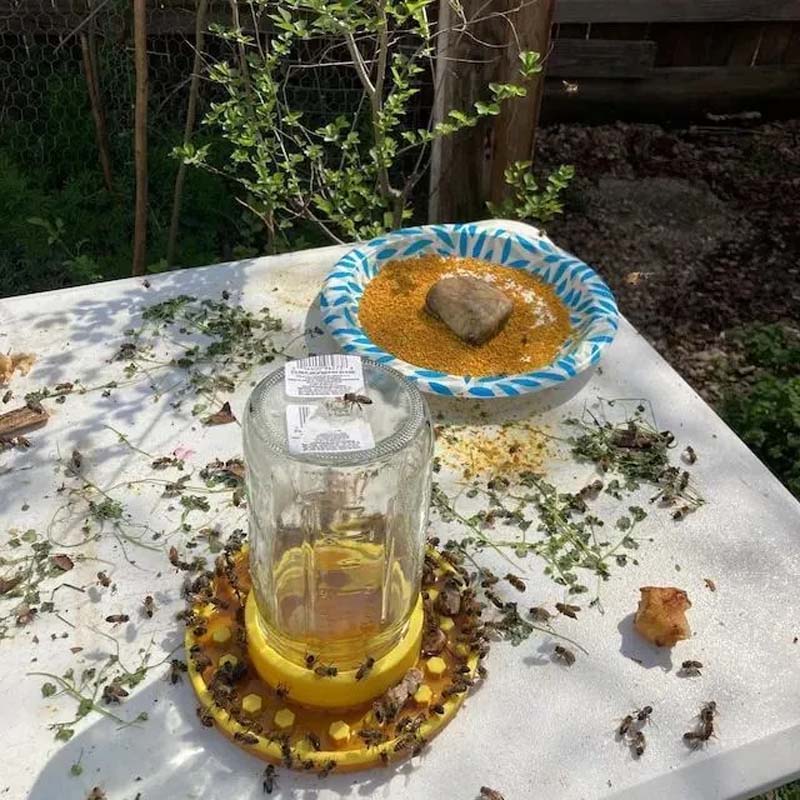Bienenfutterstation für normale Einmachgläser