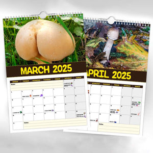 Kalender der schmackhaftesten Pilze der Welt
