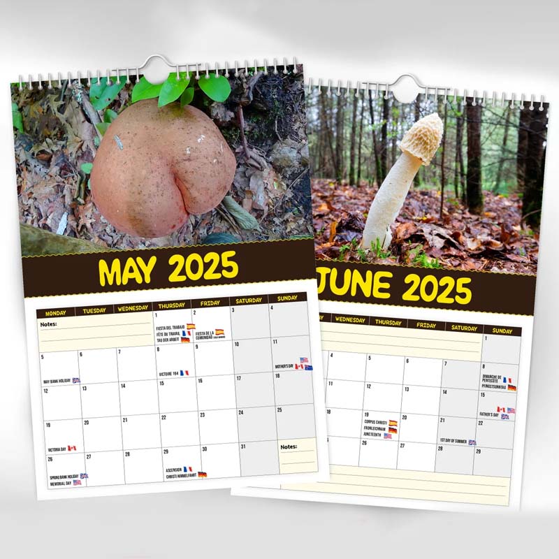 Kalender der schmackhaftesten Pilze der Welt
