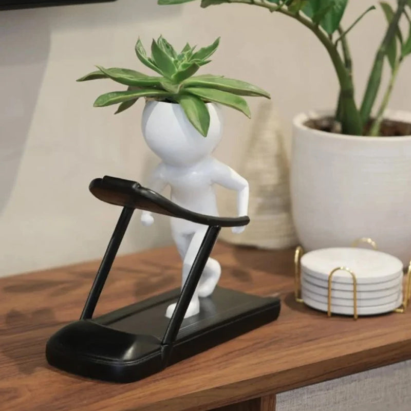 Sportliche Sukkulenten-Topfpflanzen