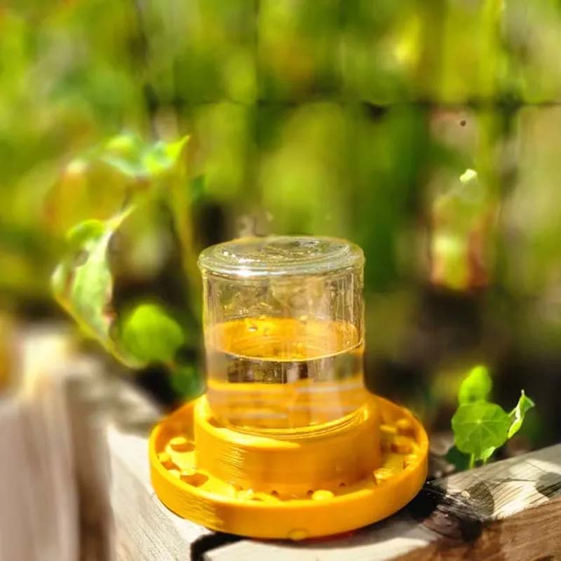 Bienenfutterstation für normale Einmachgläser