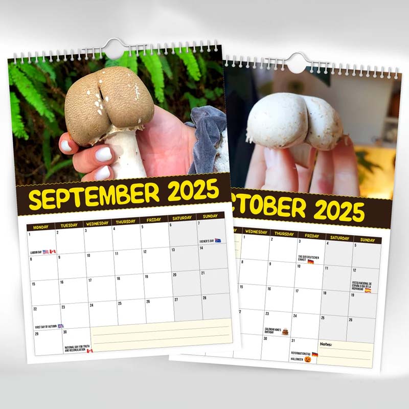 Kalender der schmackhaftesten Pilze der Welt
