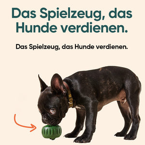 Spielzeug zum Auslaufen von Tierfutter
