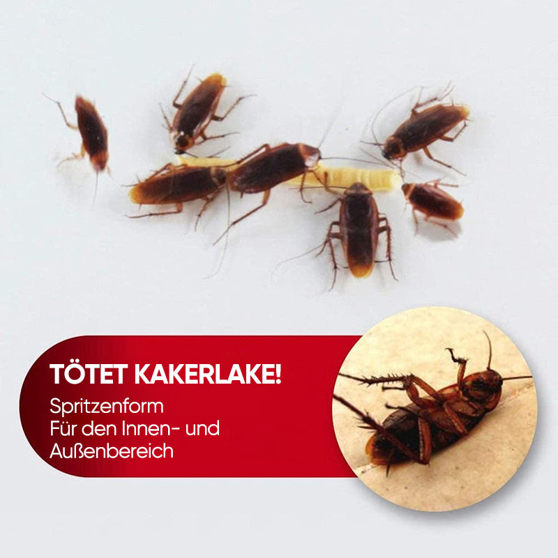 Spritzenartiges Kakerlaken-Tötungsgerät mit Leimköder