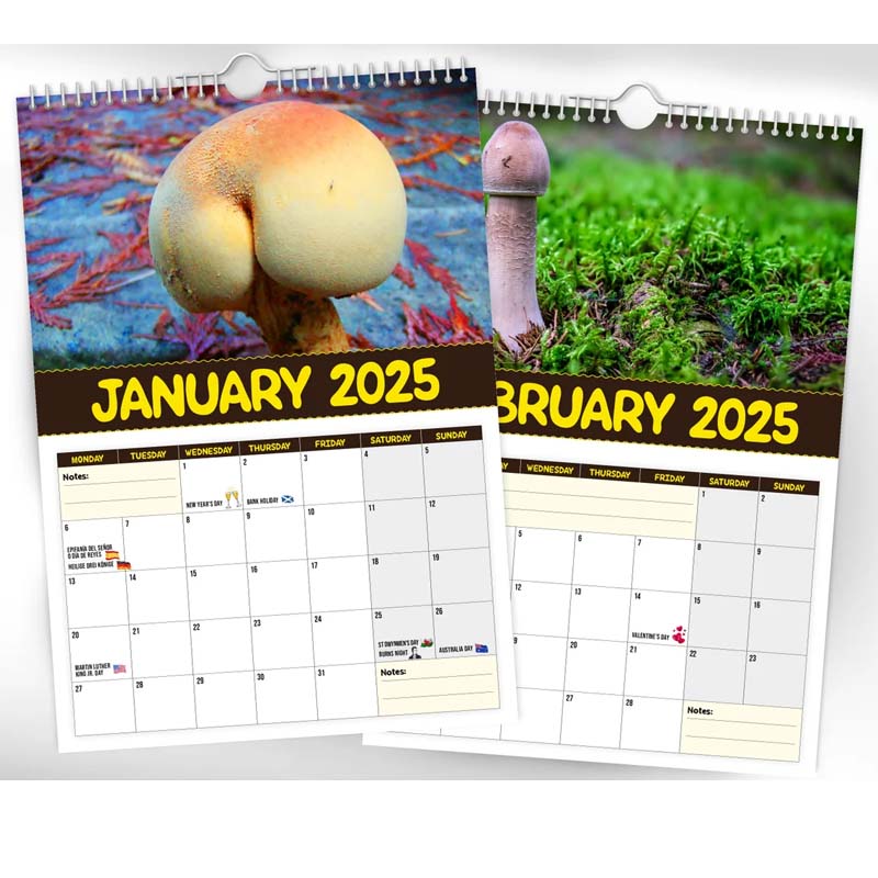 Kalender der schmackhaftesten Pilze der Welt