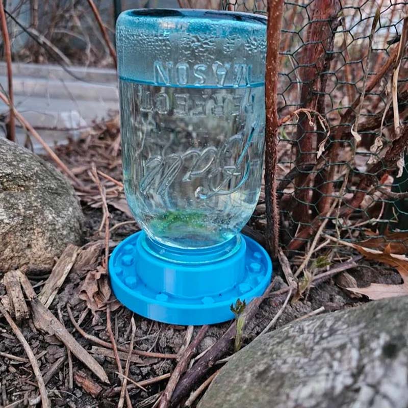 Bienenfutterstation für normale Einmachgläser