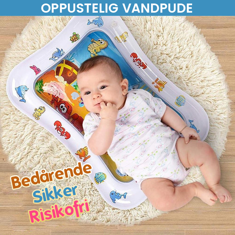 Kæledyr Vand Sensorisk Mat