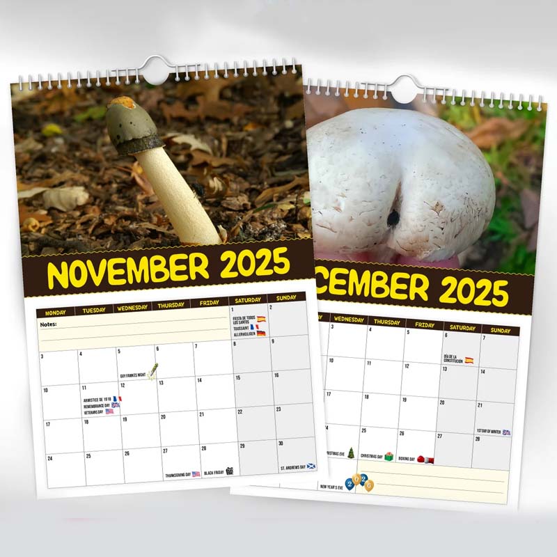 Kalender der schmackhaftesten Pilze der Welt