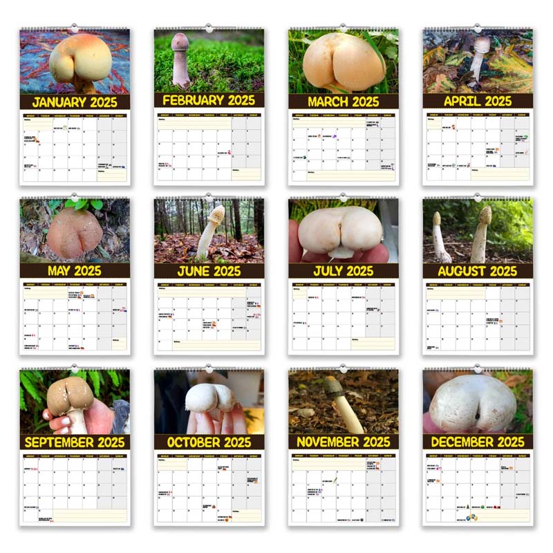 Kalender der schmackhaftesten Pilze der Welt