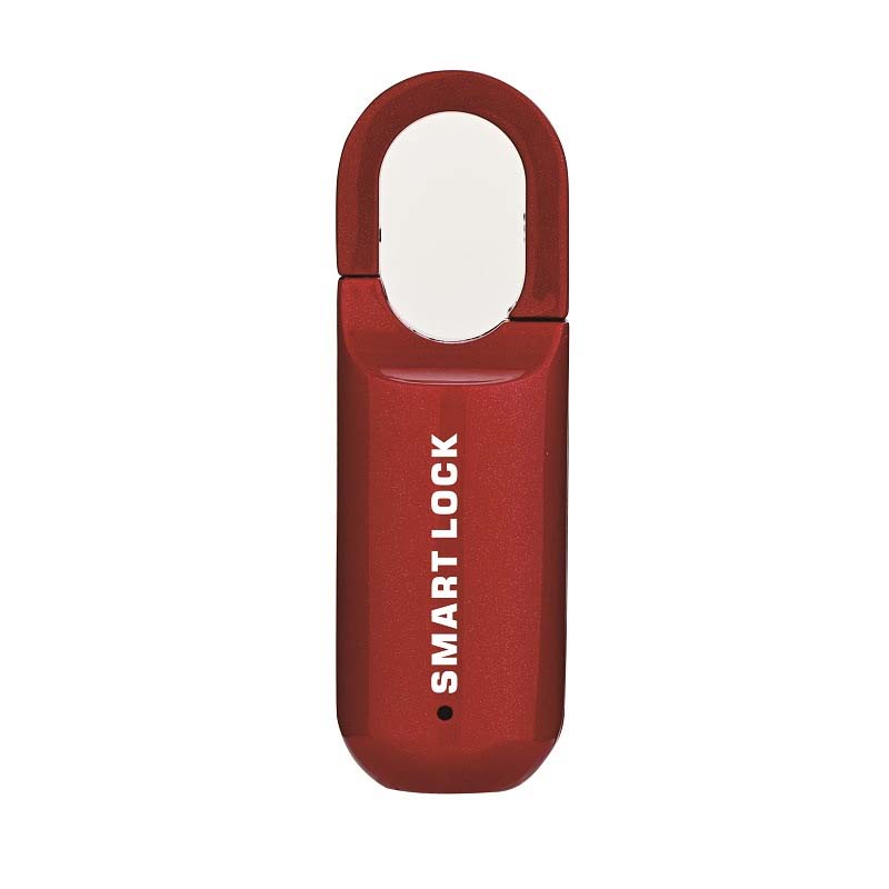 Mini-Fingerabdruck-Vorhängeschloss