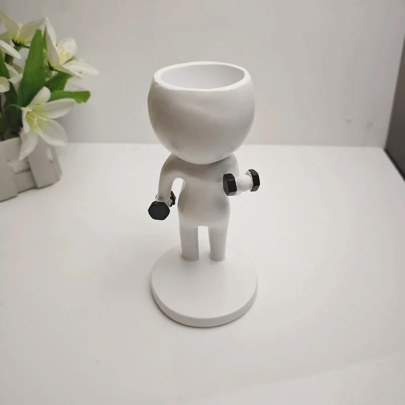 Sportliche Sukkulenten-Topfpflanzen