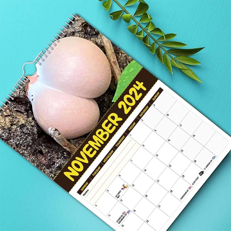 Kalender der schmackhaftesten Pilze der Welt