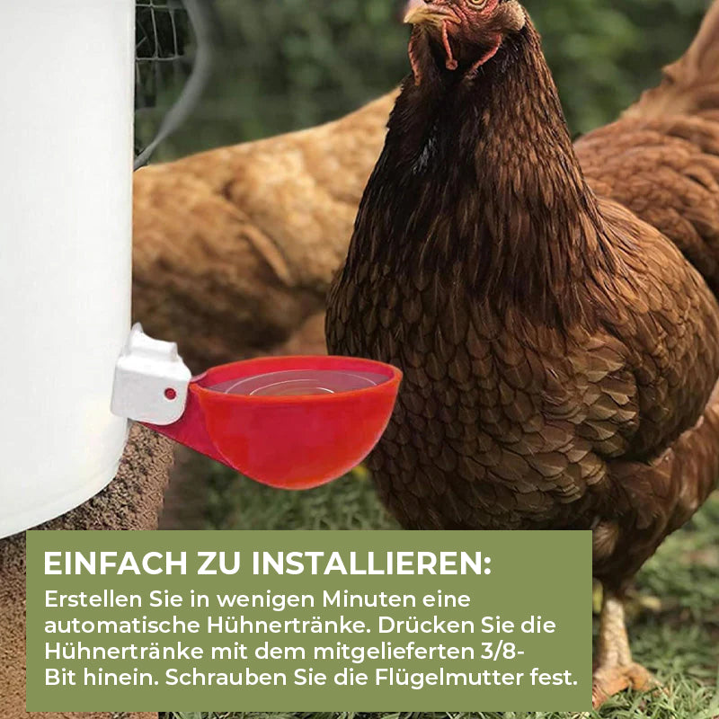 Automatische Hühnertränken (6 Stück)