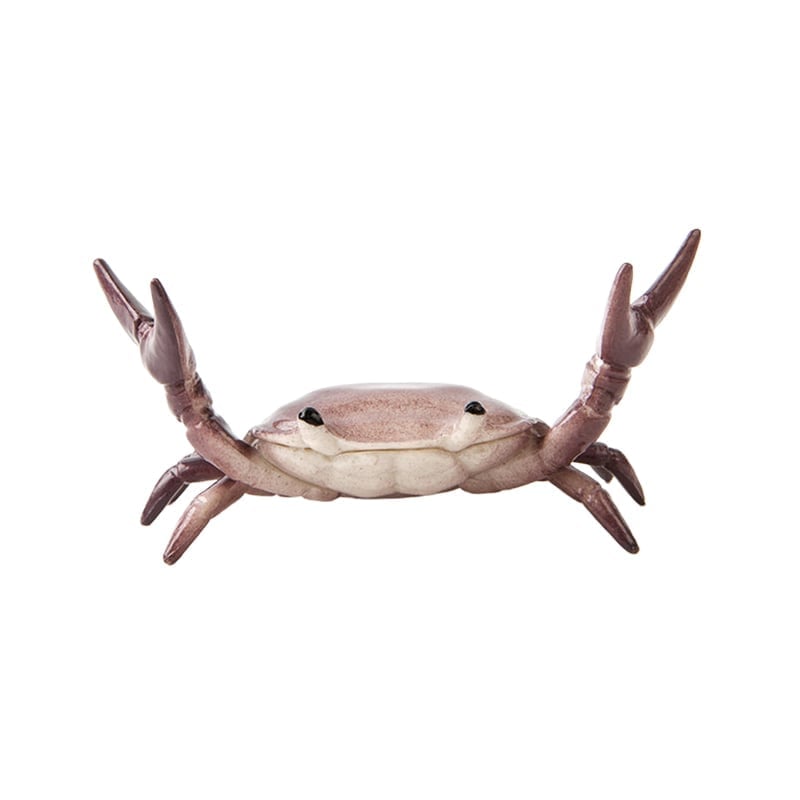 🦀Krebs beim Gewichtheben Stiftehalter