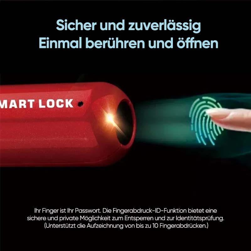 Mini-Fingerabdruck-Vorhängeschloss