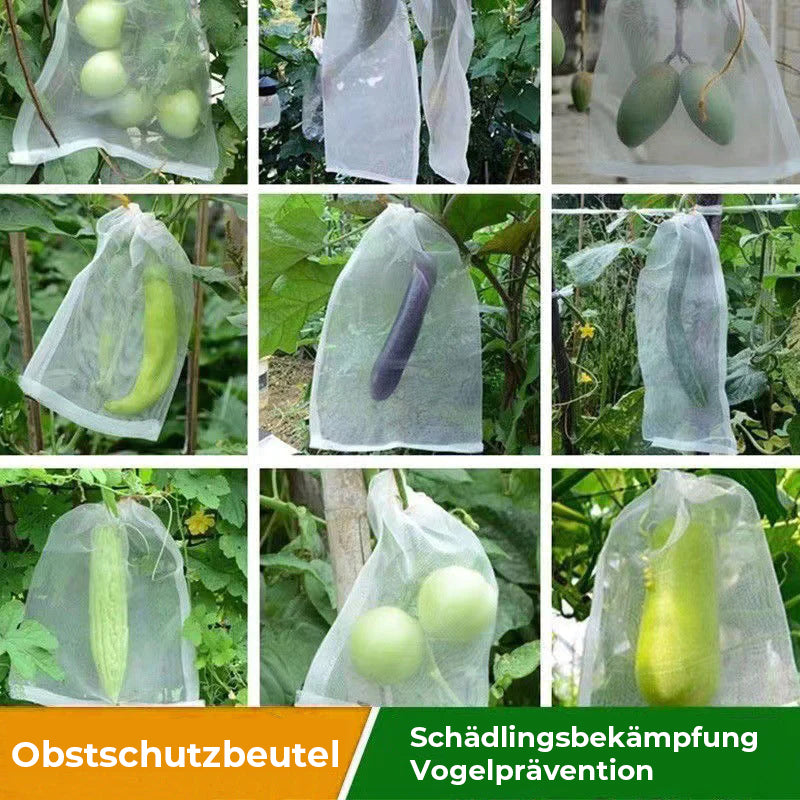 Fruchtschutzbeutel (100 STK.)