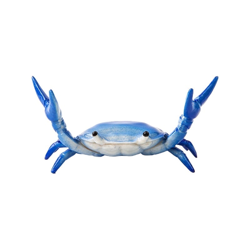 🦀Krebs beim Gewichtheben Stiftehalter