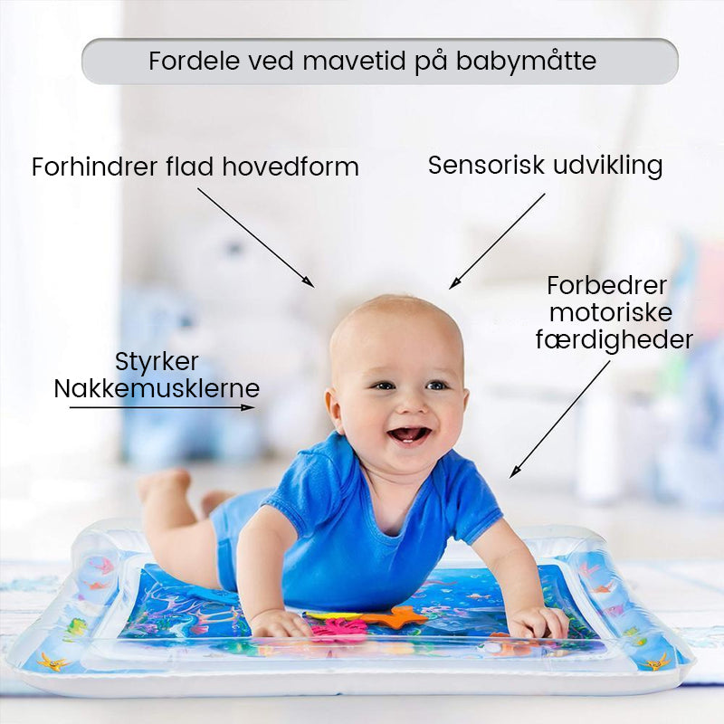 Kæledyr Vand Sensorisk Mat