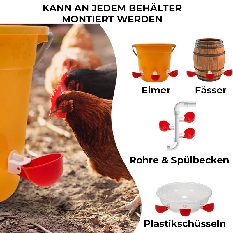Automatische Hühnertränken (6 Stück)