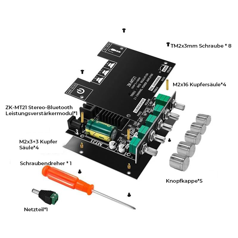 2.1-Kanal-Verstärkermodul mit Audioempfänger