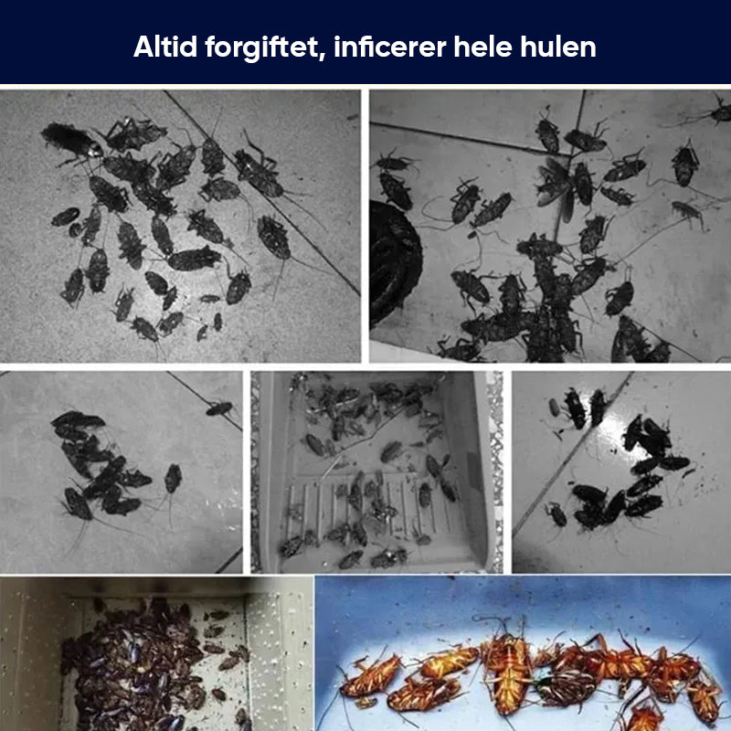 Kraftig sikker kakerlakafvisende æterisk olie