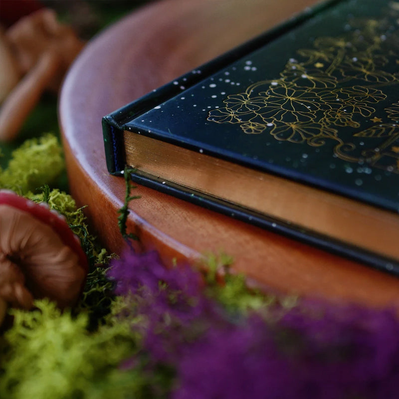 Wunderbares Wunderland-Tagebuch
