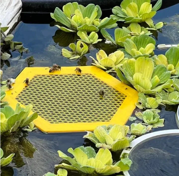 Schwimmende Bieneninsel-Bienentränke