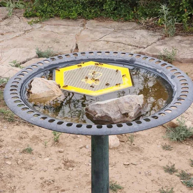 Schwimmende Bieneninsel-Bienentränke