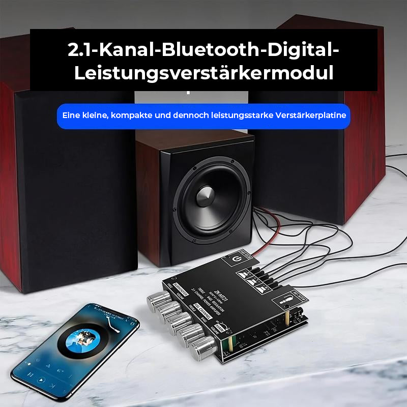 2.1-Kanal-Verstärkermodul mit Audioempfänger