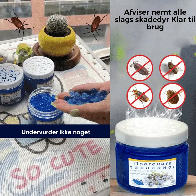 Kraftig sikker kakerlakafvisende æterisk olie