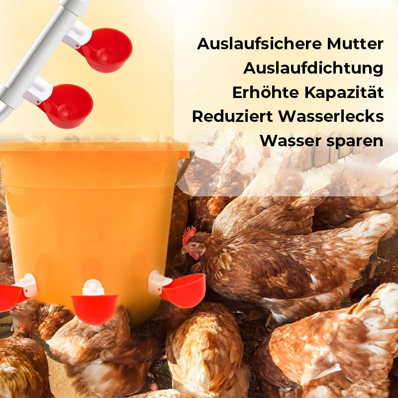 Automatische Hühnertränken (6 Stück)
