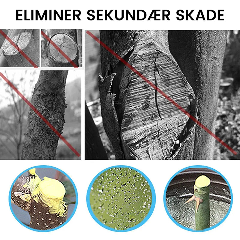 Stort træ sårhelende middel