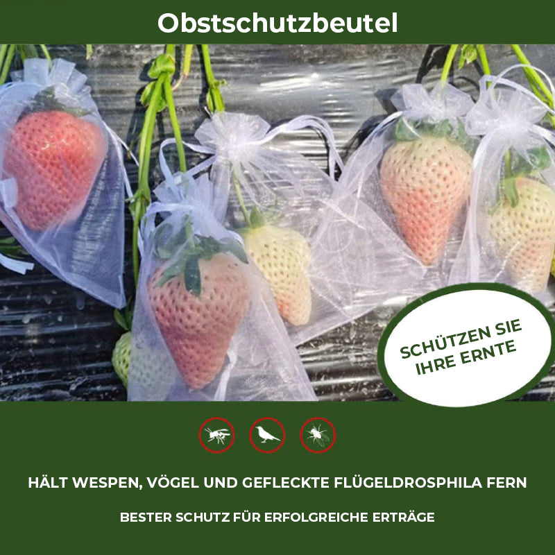Fruchtschutzbeutel (100 STK.)