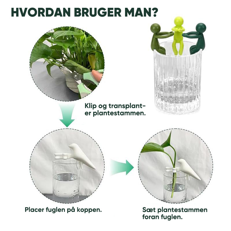 Planteformering Buddy