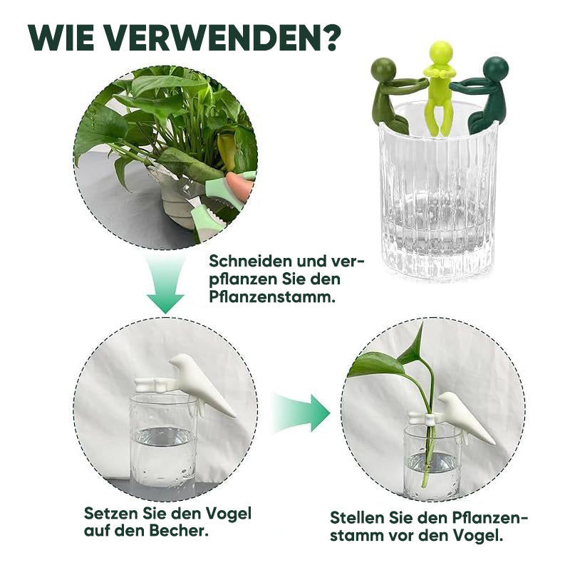 Pflanzenvermehrungs-Freund