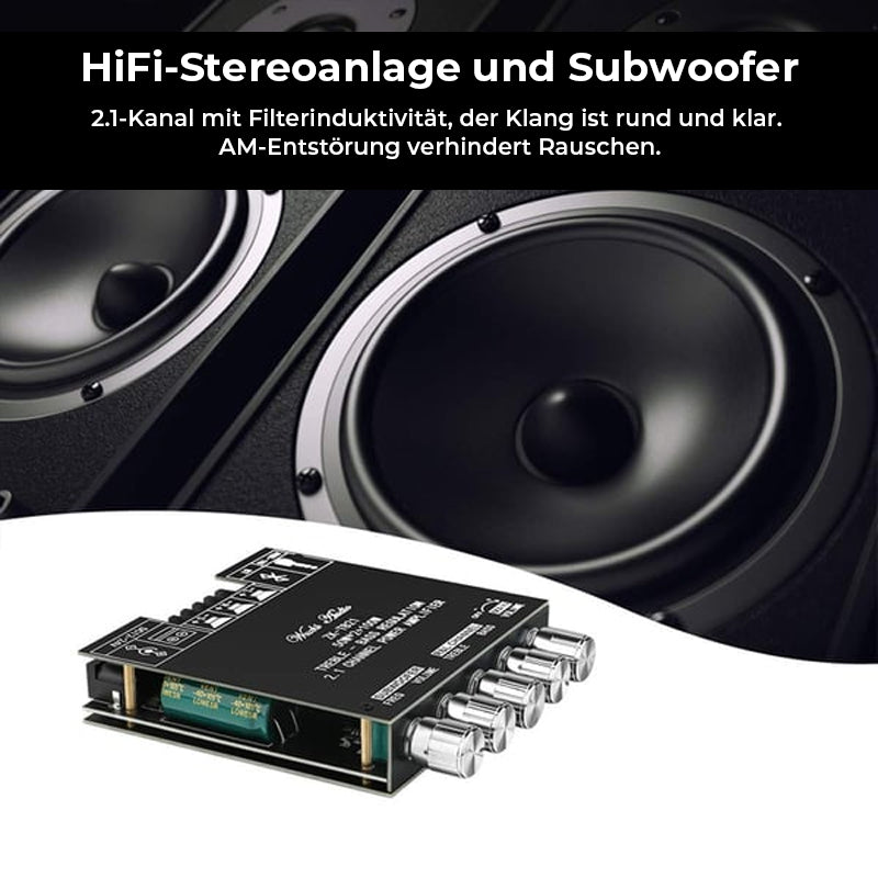 2.1-Kanal-Verstärkermodul mit Audioempfänger