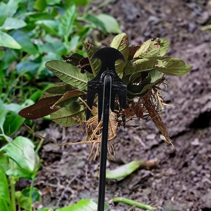 Werkzeug zum Unkrautjäten im Garten