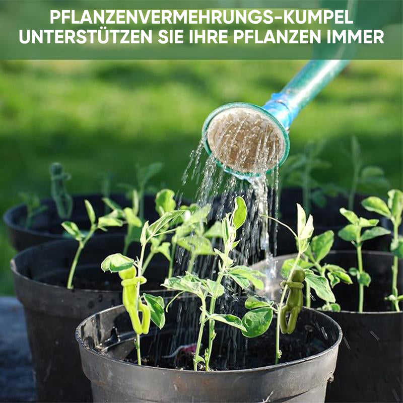 Pflanzenvermehrungs-Freund