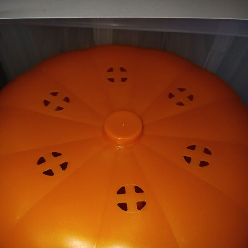Kürbis Mini Eimer