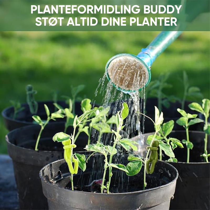Planteformering Buddy