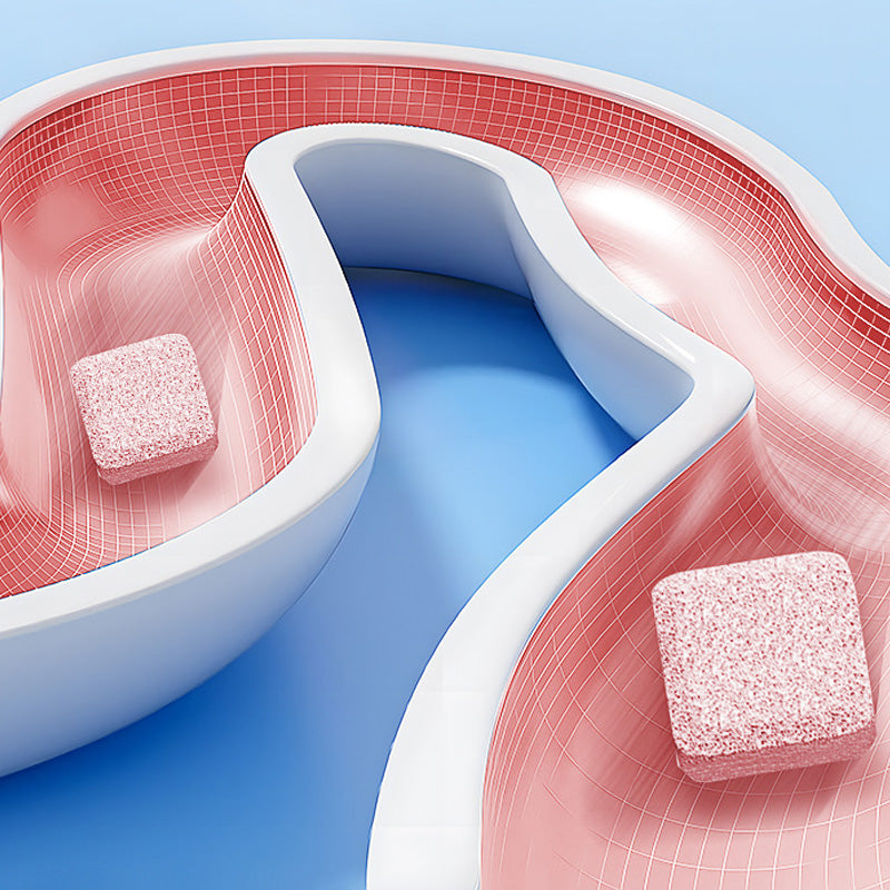 Brausetabletten zur Toilettenreinigung – 12 Tabletten