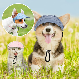 Outdoor-Sonnenschutzhaube für Hunde