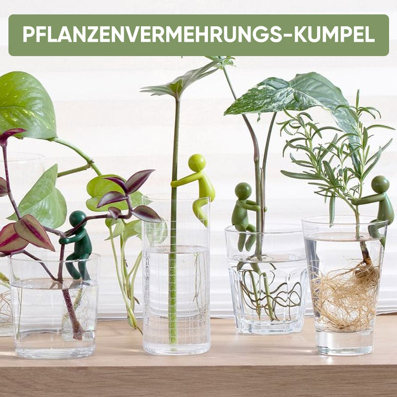 Pflanzenvermehrungs-Freund