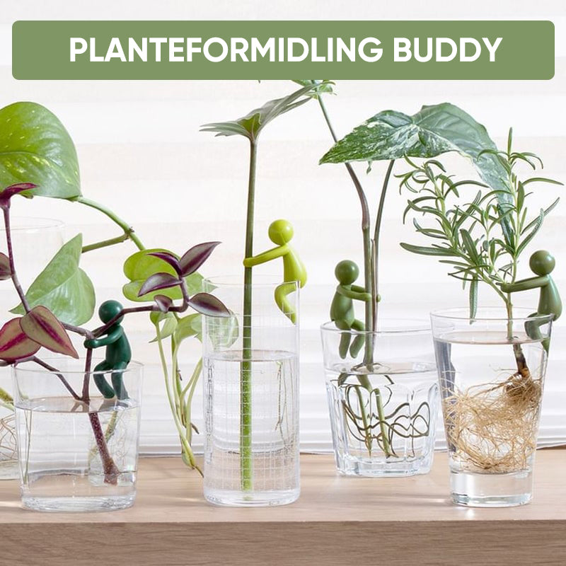 Planteformering Buddy