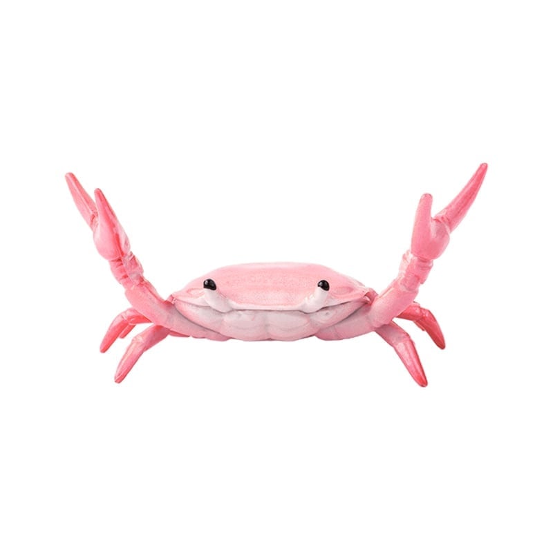 🦀Krebs beim Gewichtheben Stiftehalter