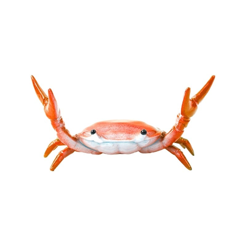 🦀Krebs beim Gewichtheben Stiftehalter