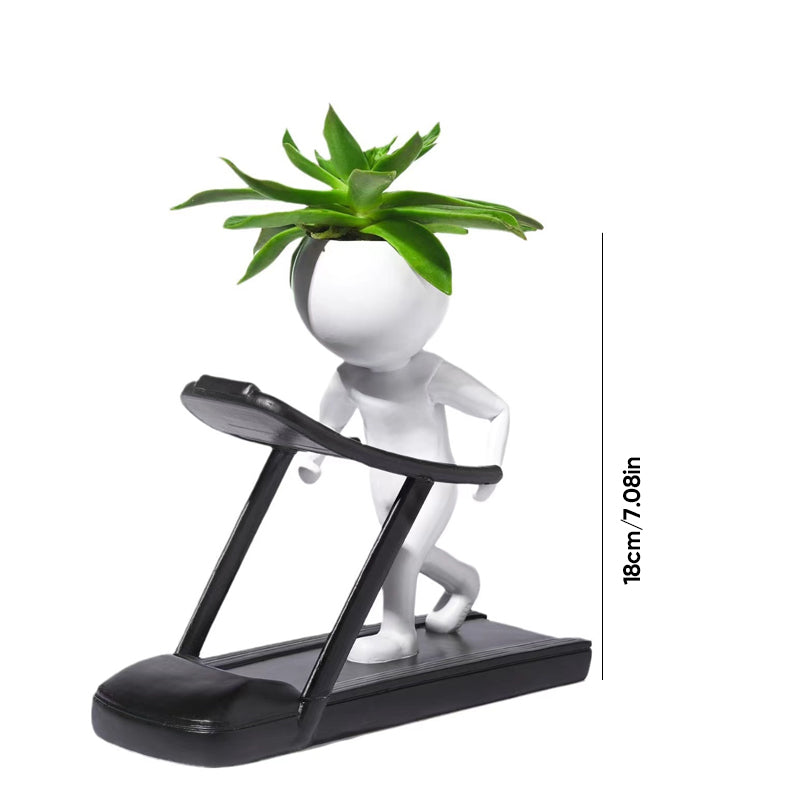 Sportliche Sukkulenten-Topfpflanzen