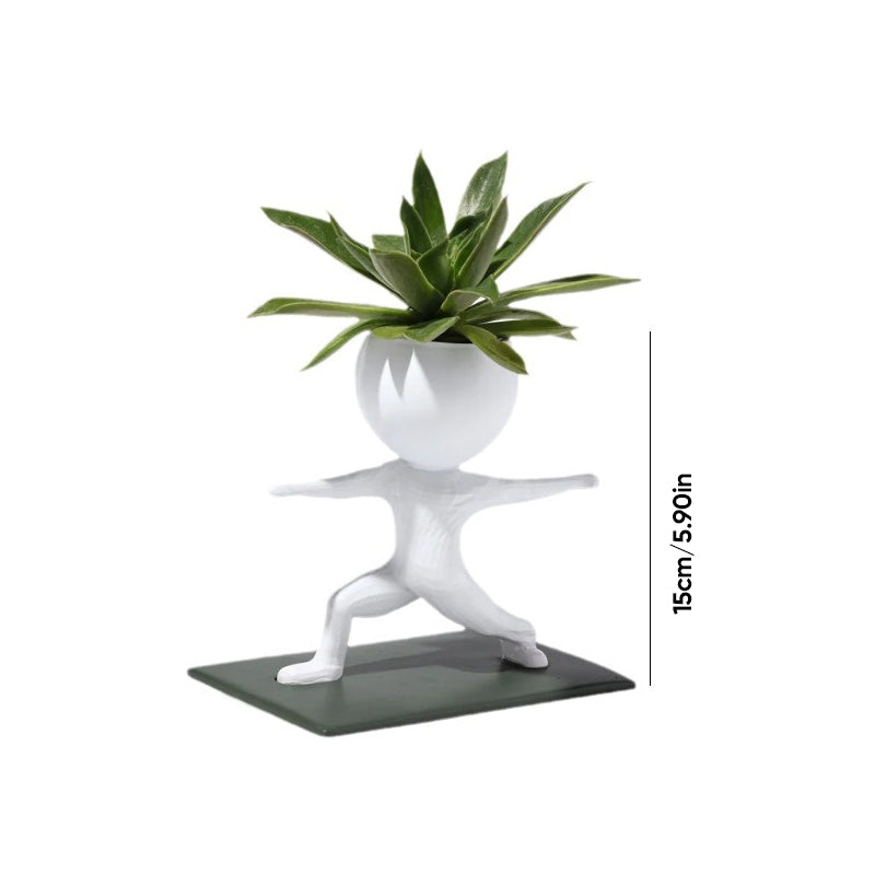 Sportliche Sukkulenten-Topfpflanzen